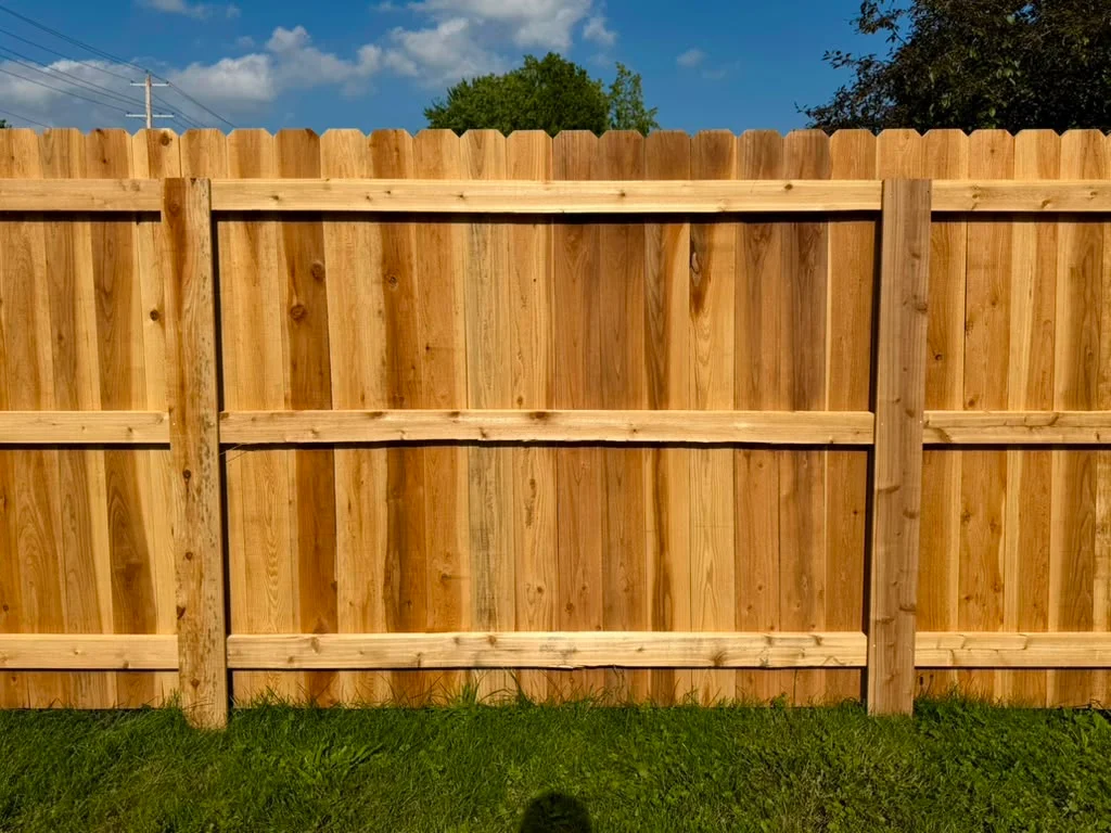 Tall cedar privacy fence with dog-ear pickets