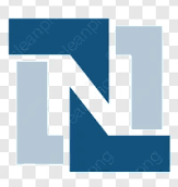NetSuite logo
