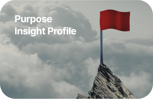 Purpose Insight Profile 