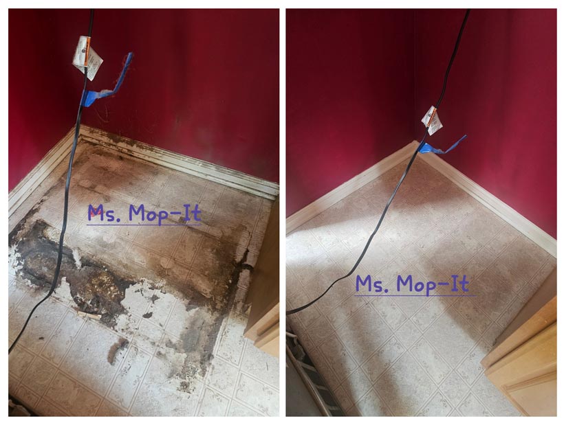Cleaning service in perkiomen