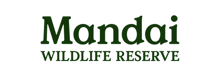 Mandai Wildlife Reserve text logo in dark green on black background.