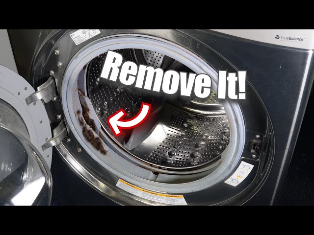 How to Remove Mold from a Washing Machine Door Seal - YouTube