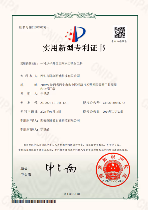 PATENT LICENCE