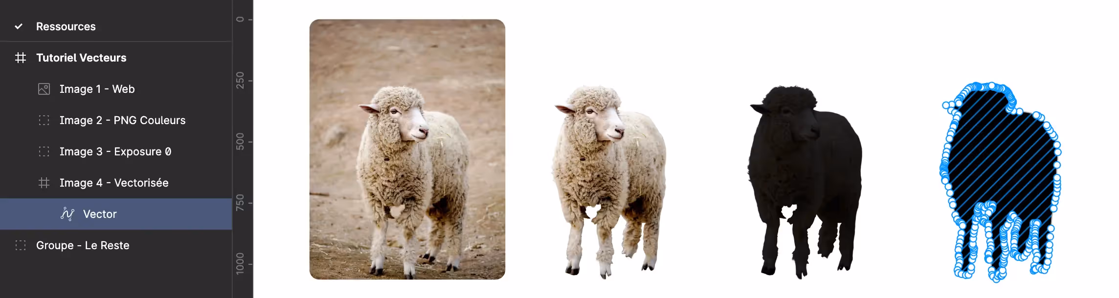 different steps to convert a sheep into a vectorized image