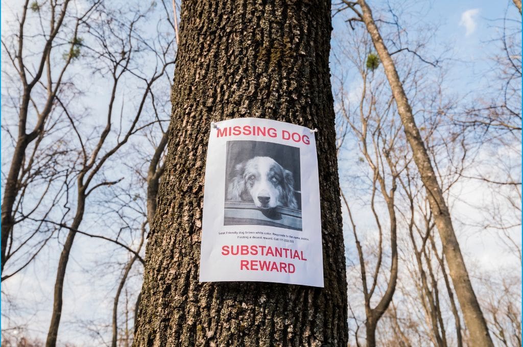 unilateral contracts - image 1