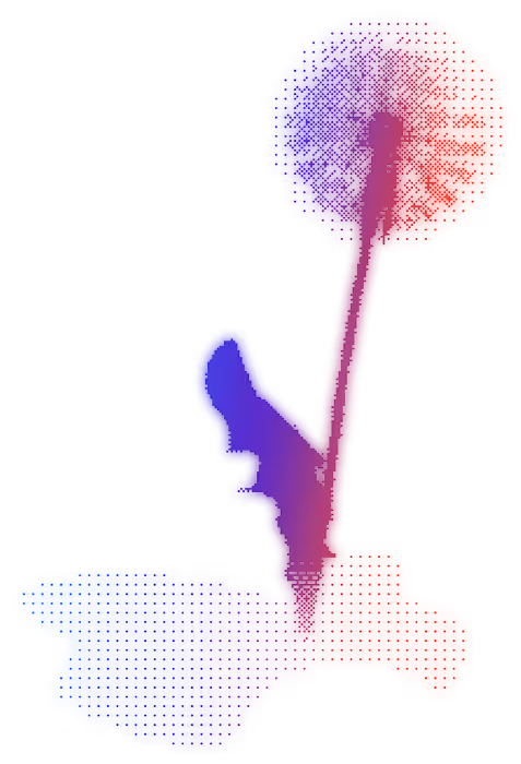 trauma-informed coach, coaching rooted in safety and transformation, coaching contact, mind rewiring contact, mind coaching, subconscious healing methods