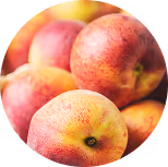 A closeup of several peaches