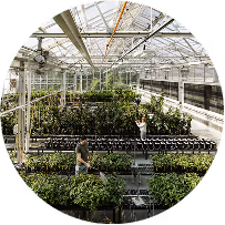 Controlled-environment greenhouse used for gene-edited plant trials and crop research