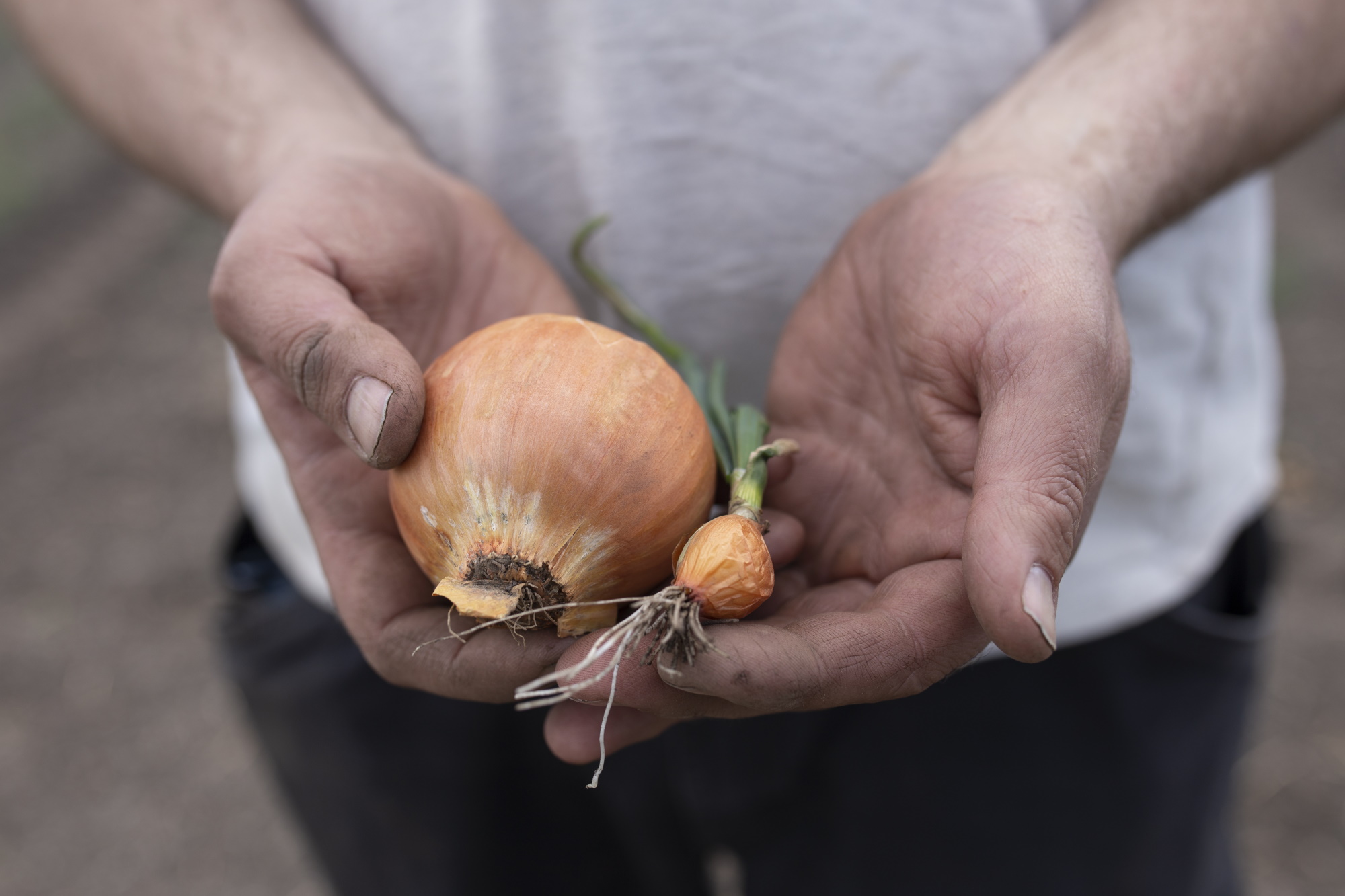En mann holder frem løk