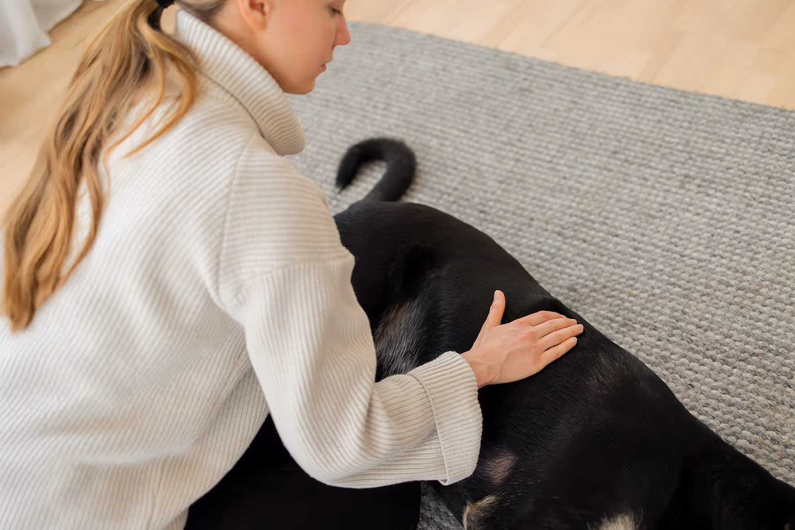 Hundephysiotherapeutin behandelt Hund nach Bandscheibenvorfall zu Hause in Hamburg