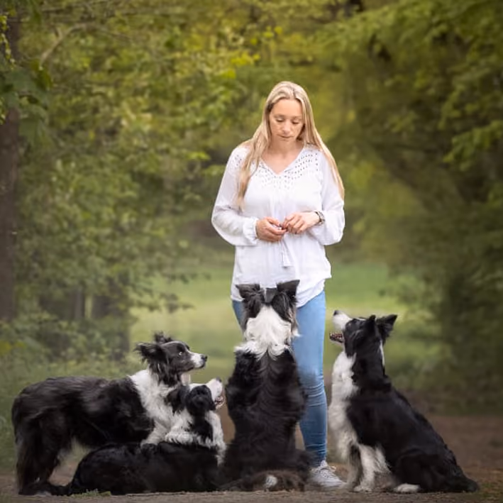 Julia Martens – Hundephysiotherapeutin und Osteopathin