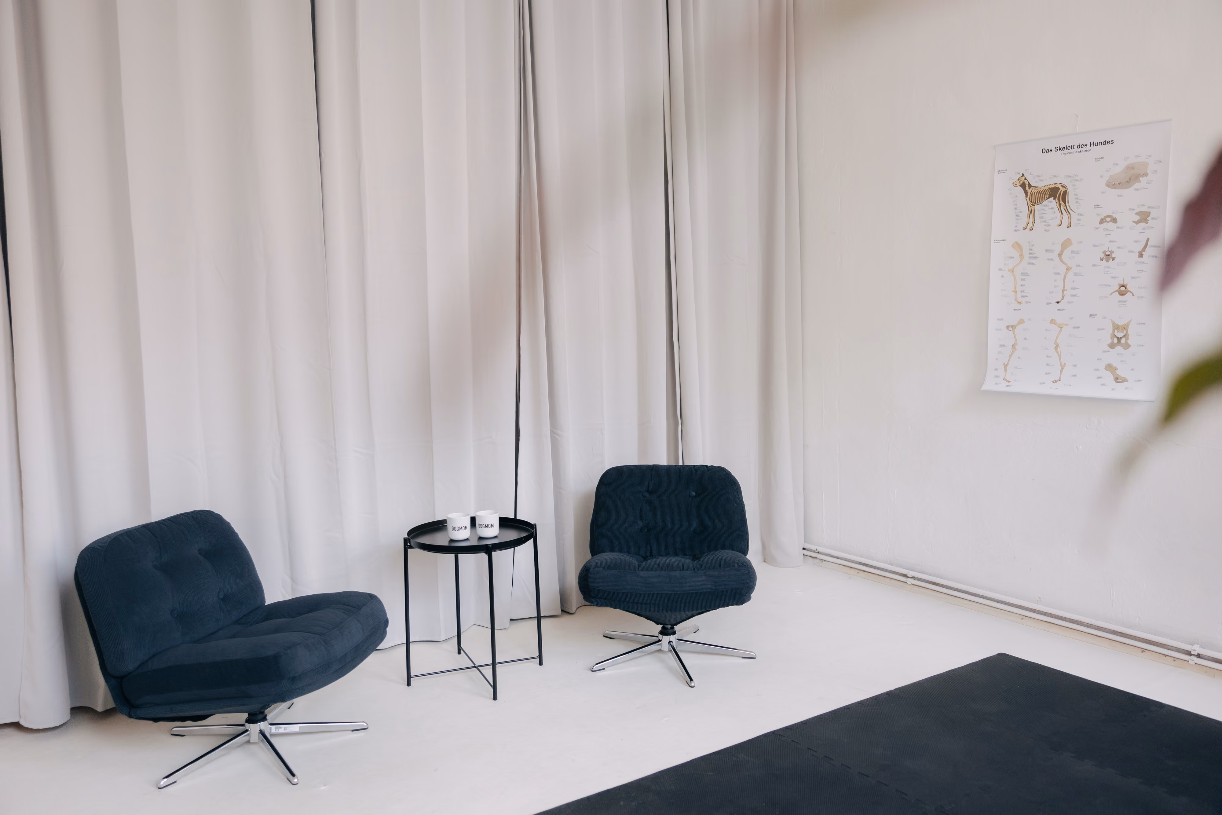 Hundephysiotherapie Praxis Hamburg Eppendorf