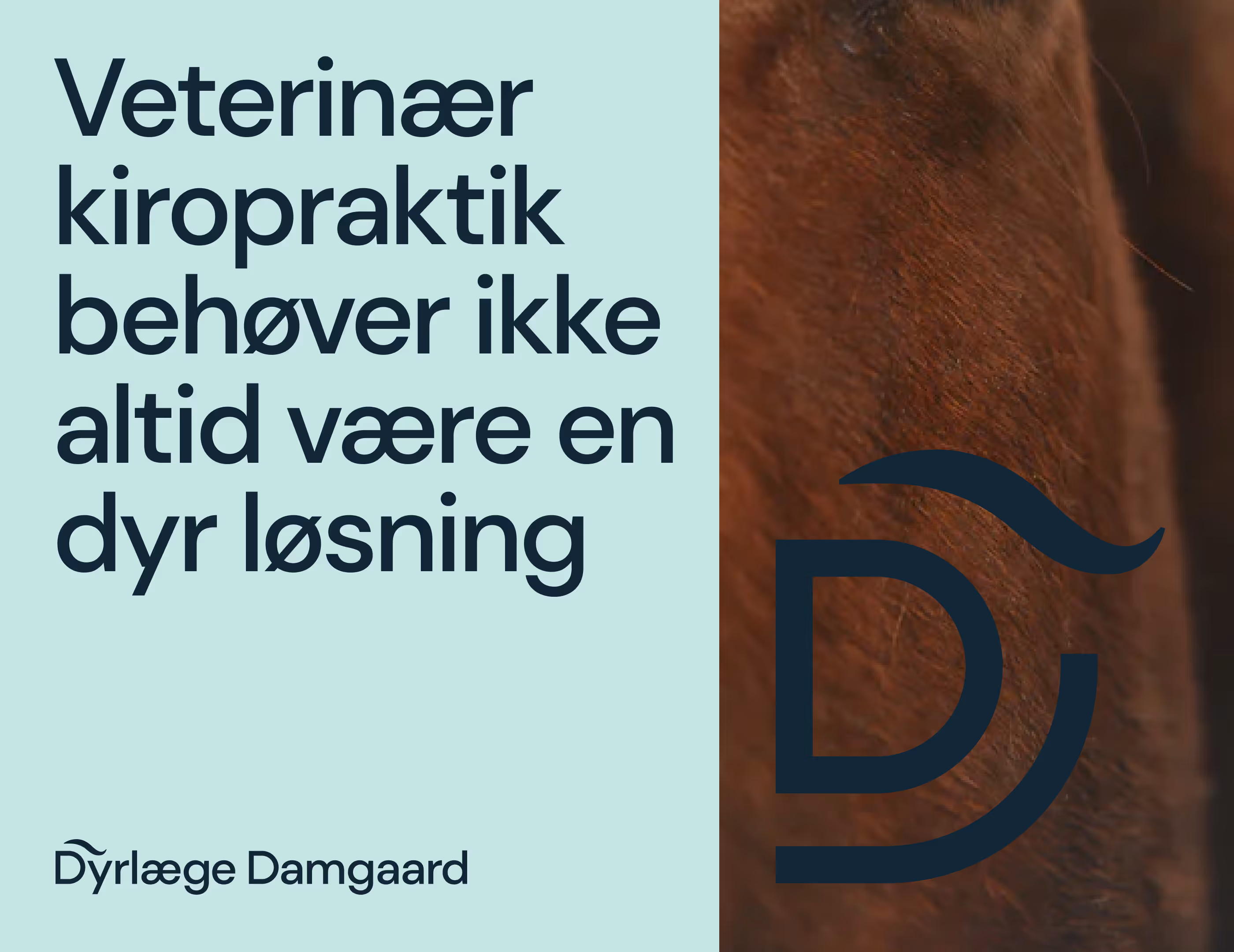 Tekst på lys baggrund siger, at veterinær kiropraktik ikke altid behøver at være en dyr løsning ved siden af nærbillede af brunt hestehud og Dyrlæge Damgaard-logo.