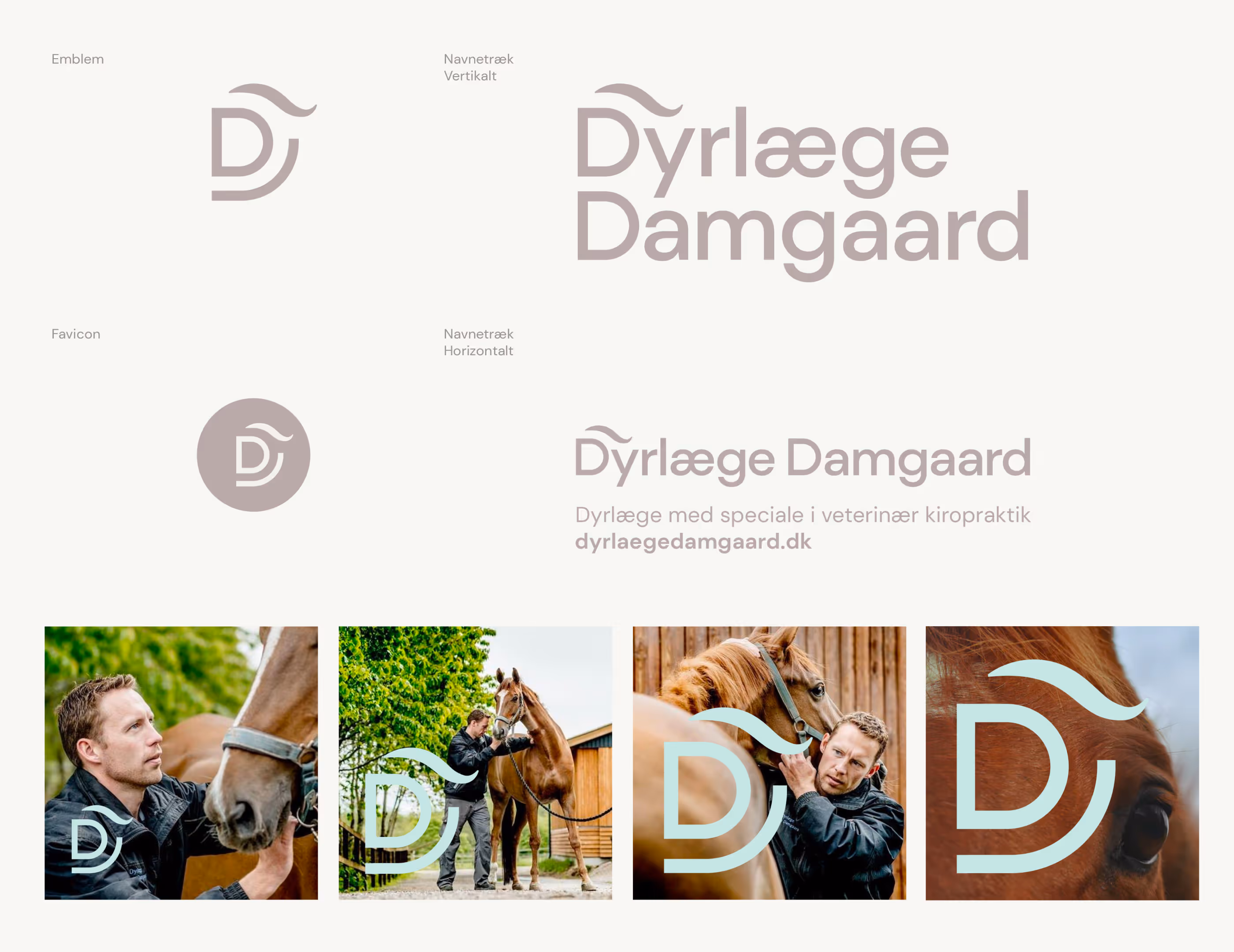 Logoer og billeder relateret til Dyrlæge Damgaard, der viser en mand med hest, og logoet med bogstavet D med en bølget linje over.