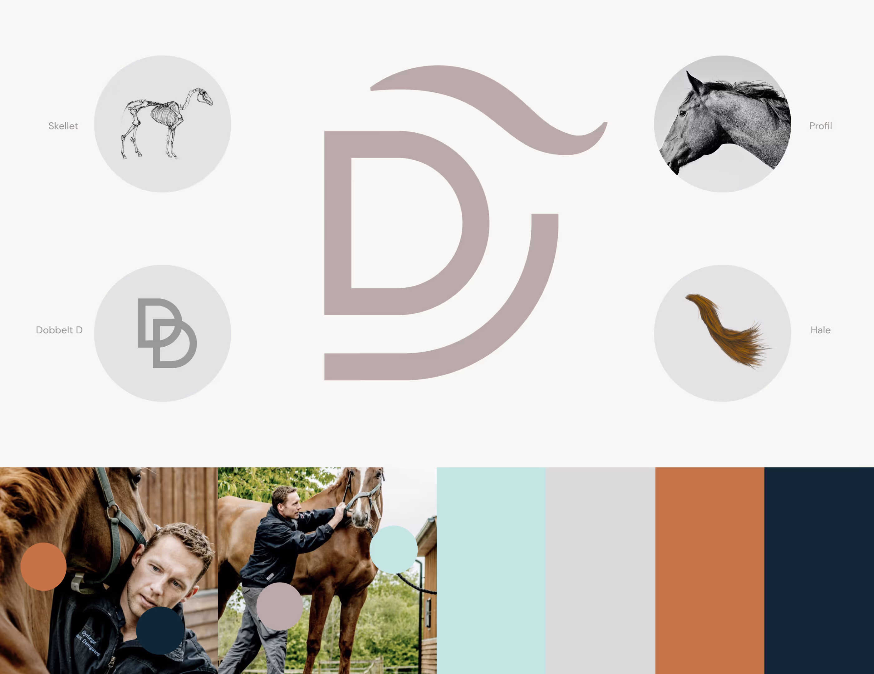 Illustration af en hest med fokus på dens skelet, profil og hale, samt en logo med dobbelte D'er. Nederst billeder af en mand med to forskellige heste og fem farveprøver.