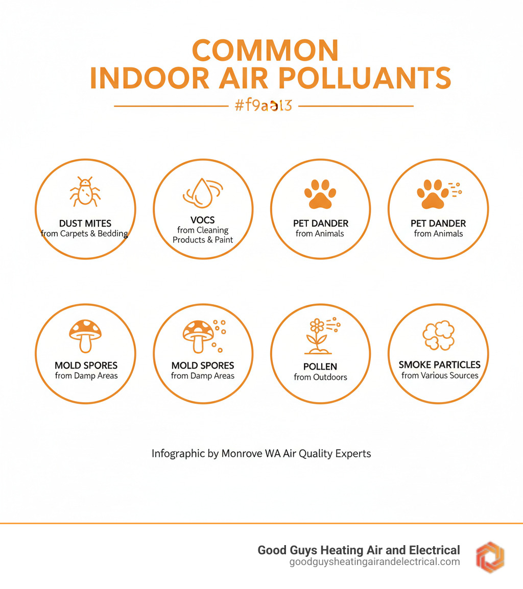 infographic showing common indoor air pollutants including dust mites from carpets and bedding, VOCs from cleaning products and paint, pet dander from animals, mold spores from damp areas, pollen from outdoors, and smoke particles, with icons representing each source - clean indoor air monroe wa infographic 