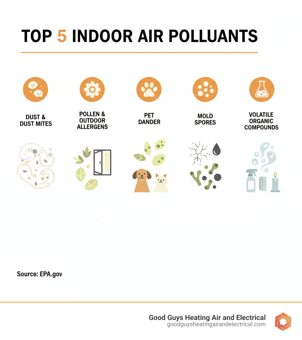 infographic showing the top 5 common indoor air pollutants: dust and dust mites, pollen and outdoor allergens, pet dander, mold spores, and volatile organic compounds from household products - air purification services marysville wa infographic 