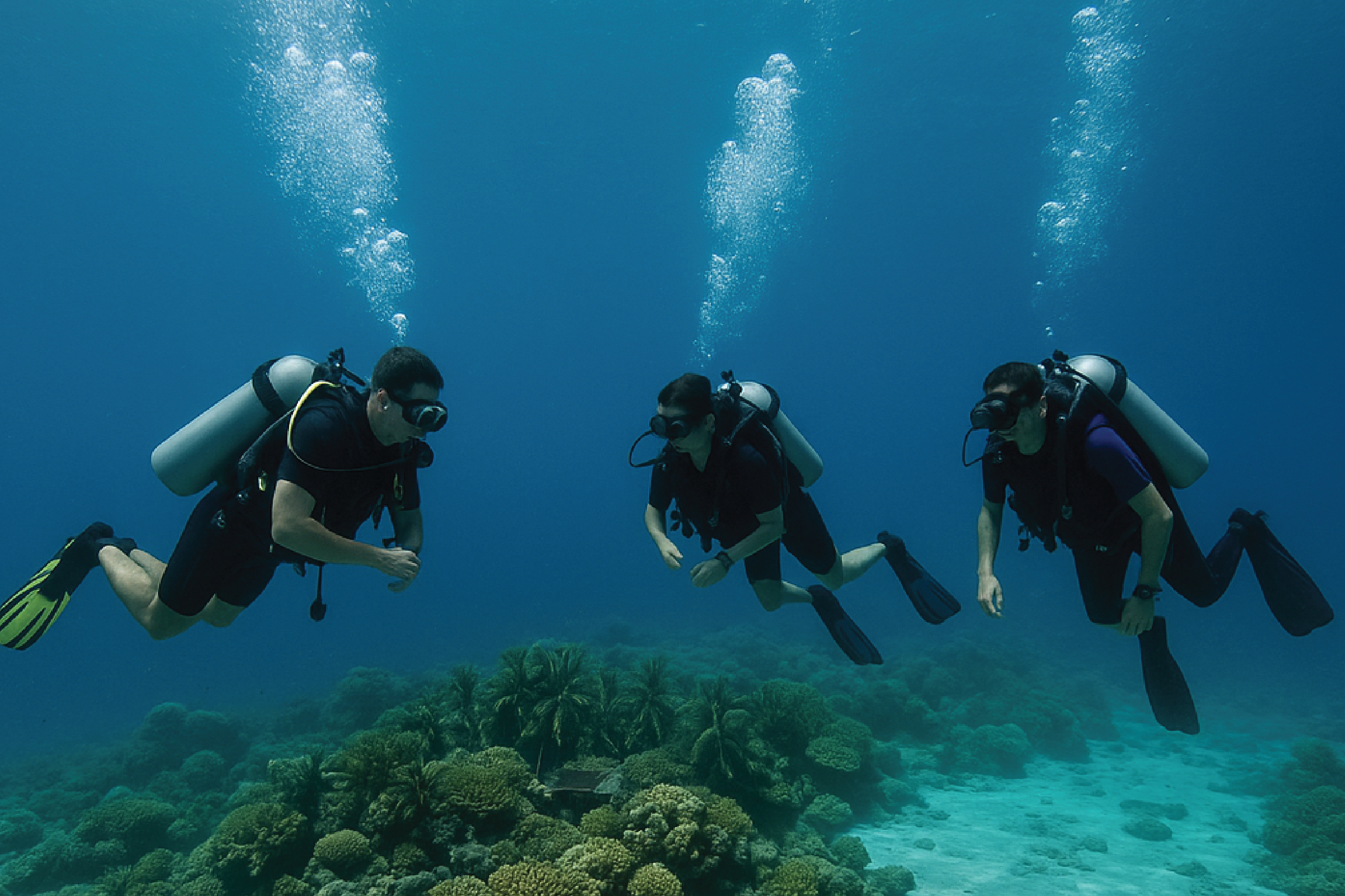 Open Water Diver – ¡Tu carta de libertad como buzo!