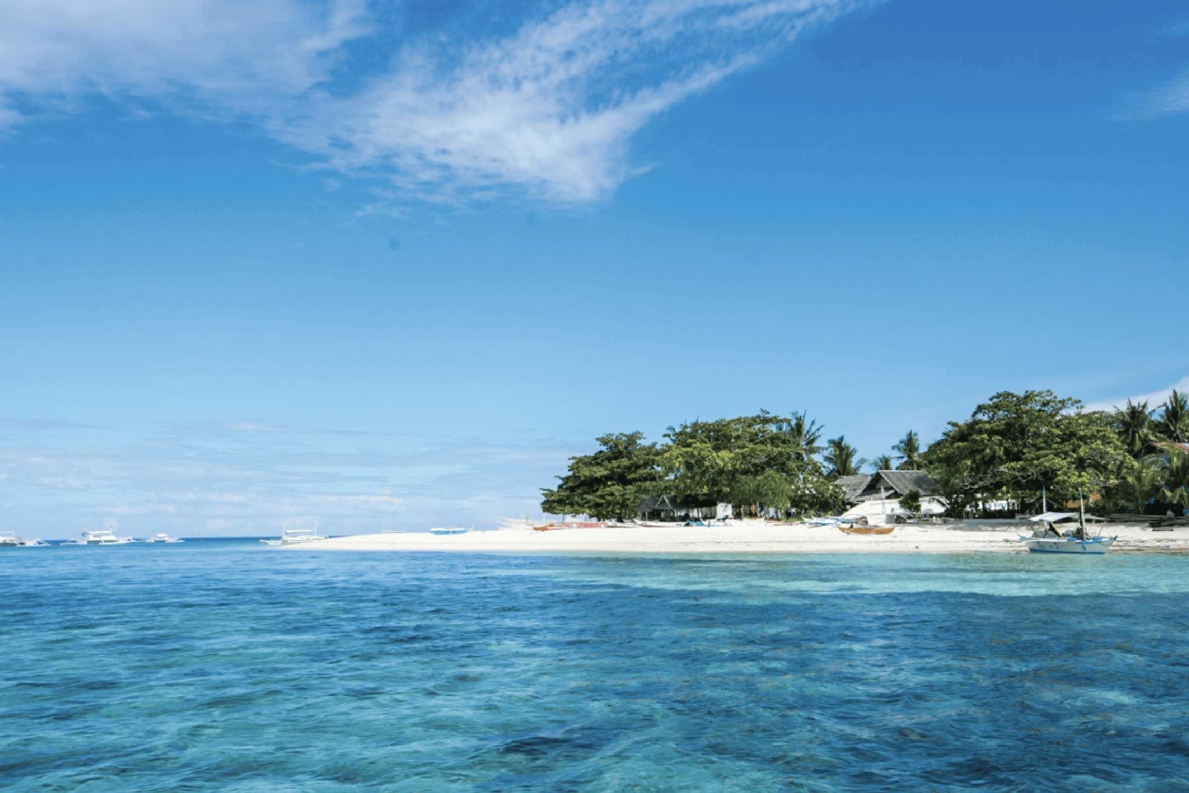 Isla Pamilacan