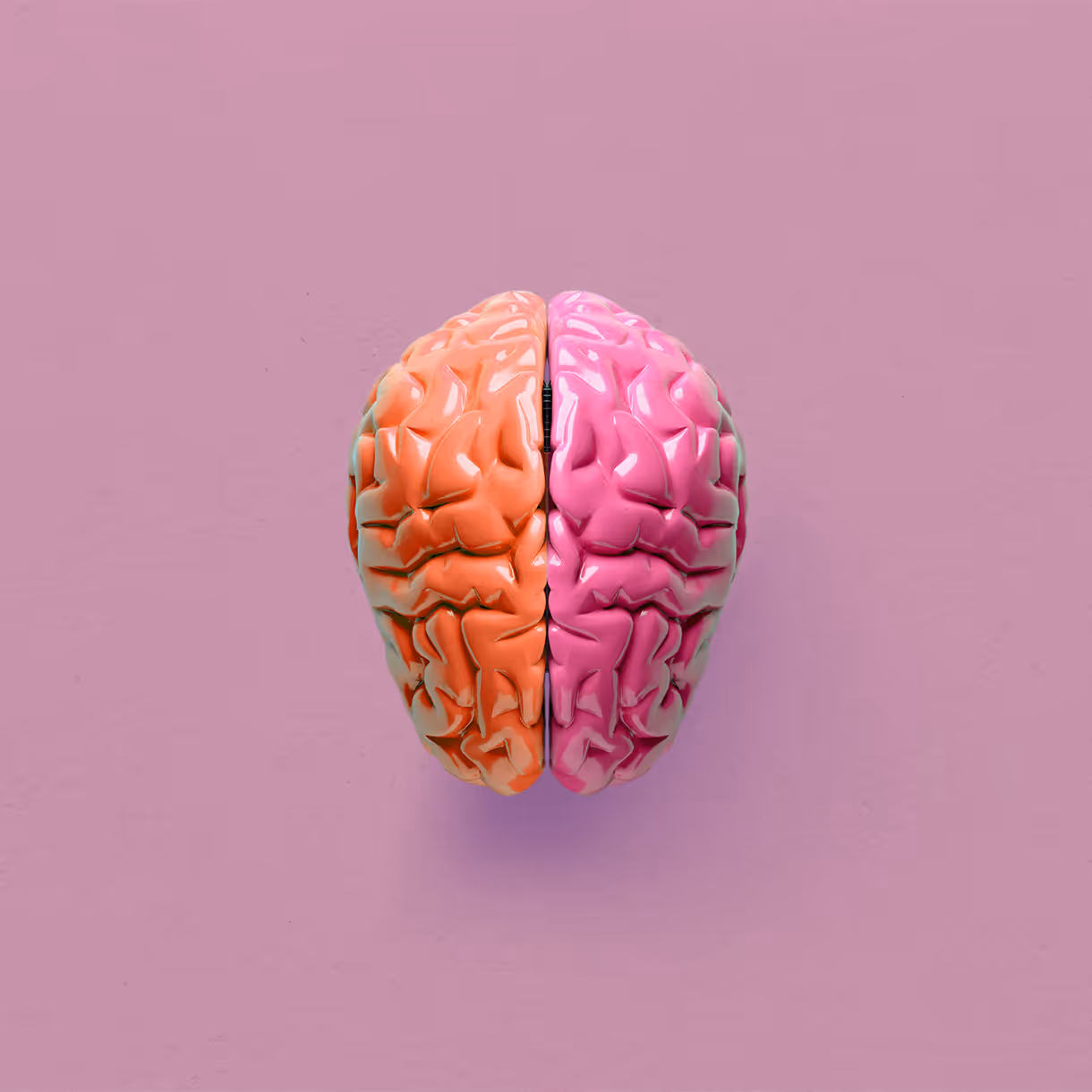 Colorful 3D model of human brain split into pink and orange hemispheres
