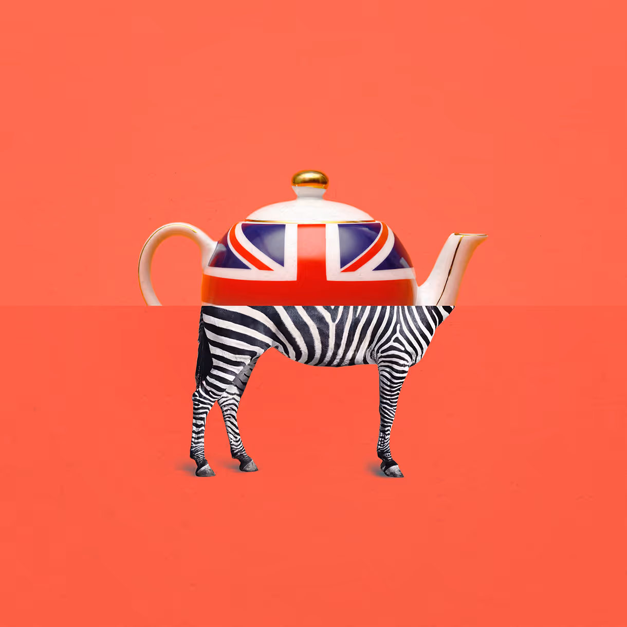 British teapot with zebra legs on red background