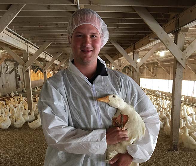 Best poultry veterinarian Dr. Mark Mauw