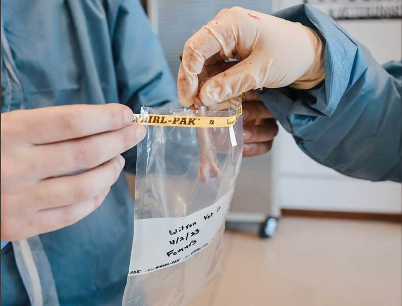 Clearly labeled poultry diagnostic sample bag prepared for laboratory submission