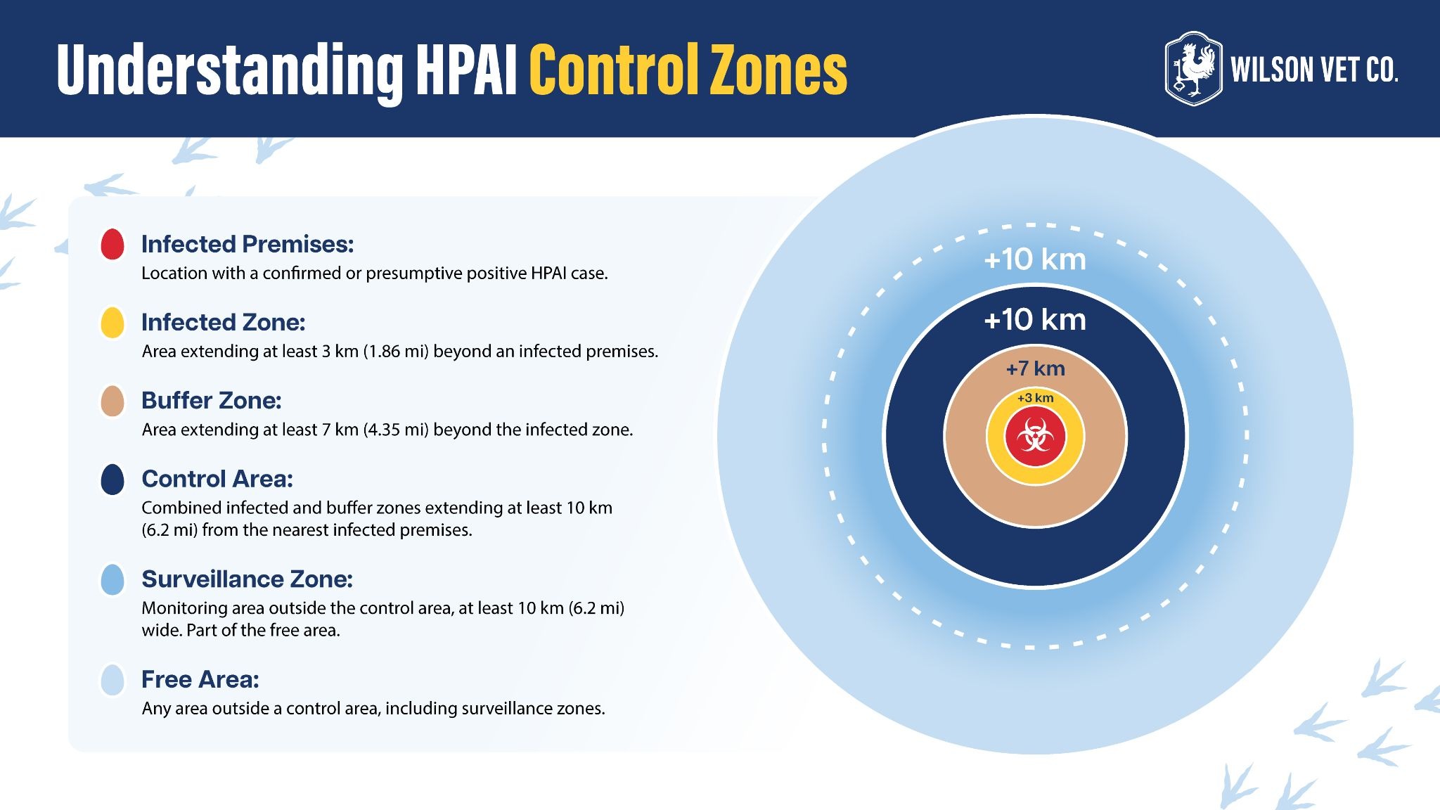 HPAI control zone infographic showing infected premises, infected zone, buffer zone, control area, surveillance zone, and poultry disease response boundaries.