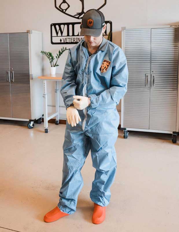 Veterinarian wearing protective gloves while handling formalin