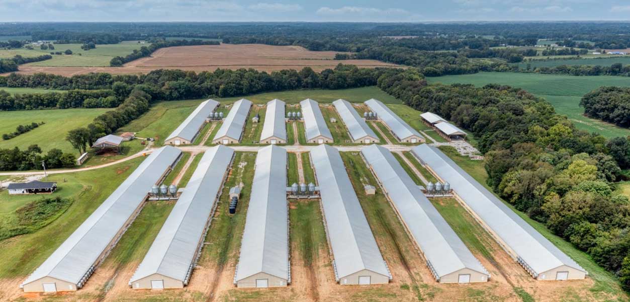 Aerial view of commercial poultry houses on a farm