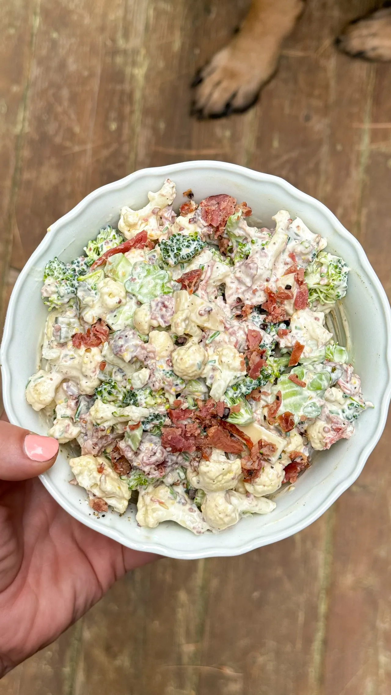 Salade de pâtes bœuf, tomates et mozzarella