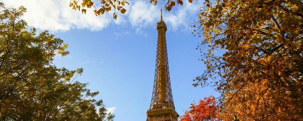 Visiting Paris in November: What To See and Do