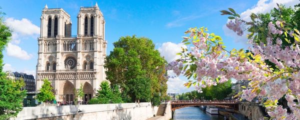 Paris in spring: 9 of the best things to do and see