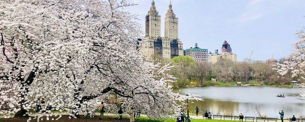 New York in May: Top Things to See and Do