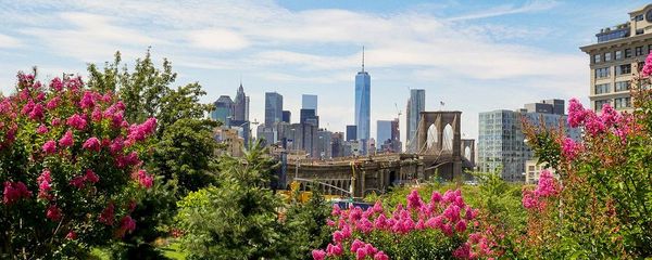 Visiting New York City in June: Everything You Need to Know