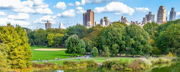 10 Beautiful Gardens in New York City You Need To Visit