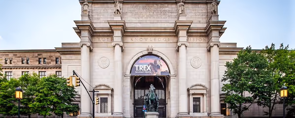 American Museum of Natural History: A complete guide