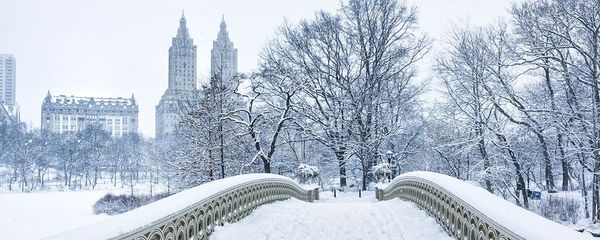 You guide to spending winter in NYC