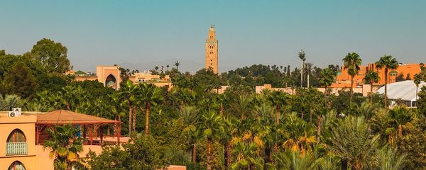 8 Best Gardens in Marrakech for Nature and Tranquility