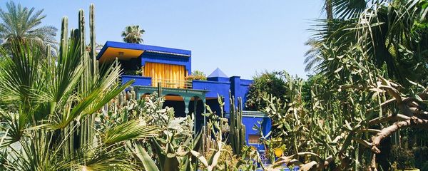 12 Unique and Fun Things to Do in Marrakech