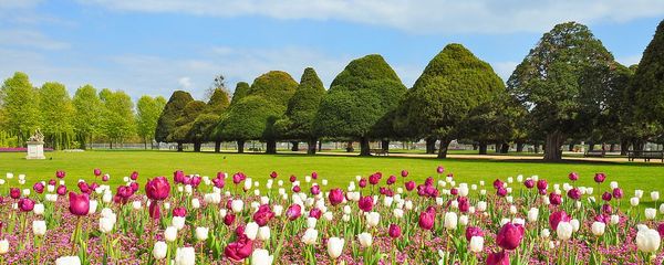 9 Beautiful Gardens in London You Have To Visit