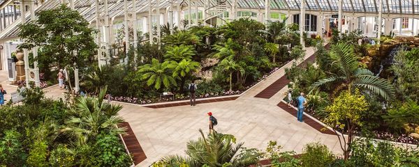 The 8 best things to do in London in spring