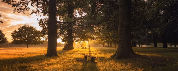 The 8 best things to do in London in fall
