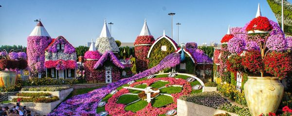 10 Best Gardens in Dubai for Nature and Tranquility