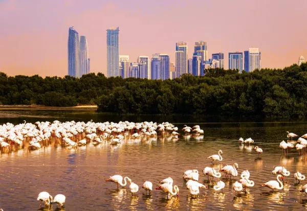 Explore off the beaten path with Dubai's best hidden gems