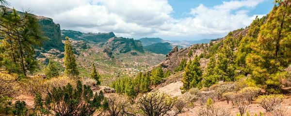 Canary Islands in October Guide: Everything You Need To Know