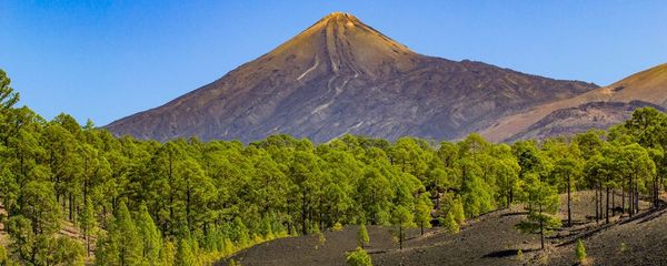Canary Islands in April: What To See and Do