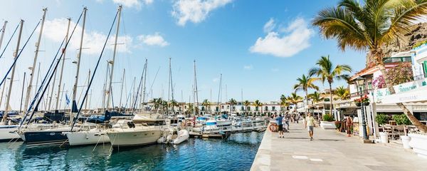 Canary Islands in February Guide: Everything You Need To Know