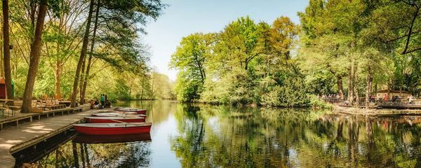 Berlin in August: What To See and Do
