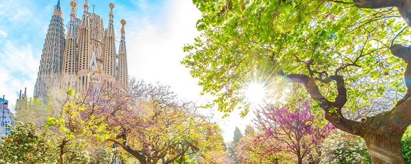 Barcelona in March Guide: Everything You Need To Know